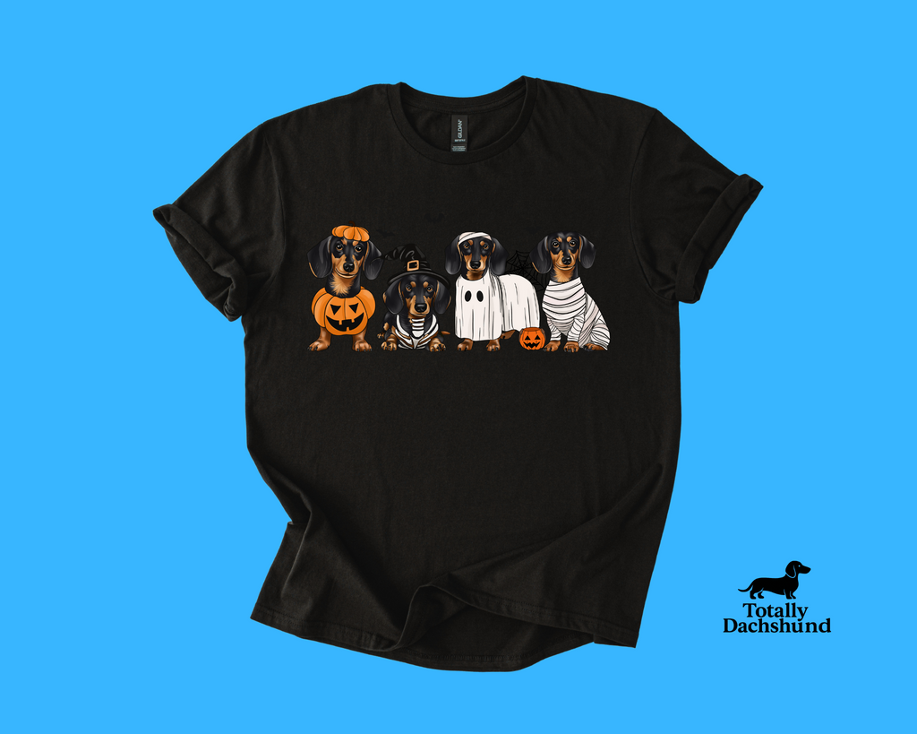 Spooky & Adorable – Dachshund in Halloween Costumes