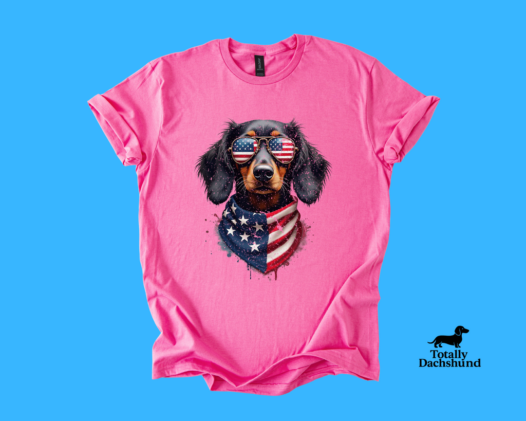 All-American Pup – Patriotic Dachshund Sunglasses & Bandana