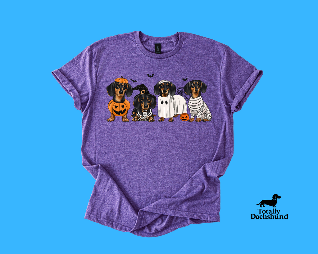 Spooky & Adorable – Dachshund in Halloween Costumes