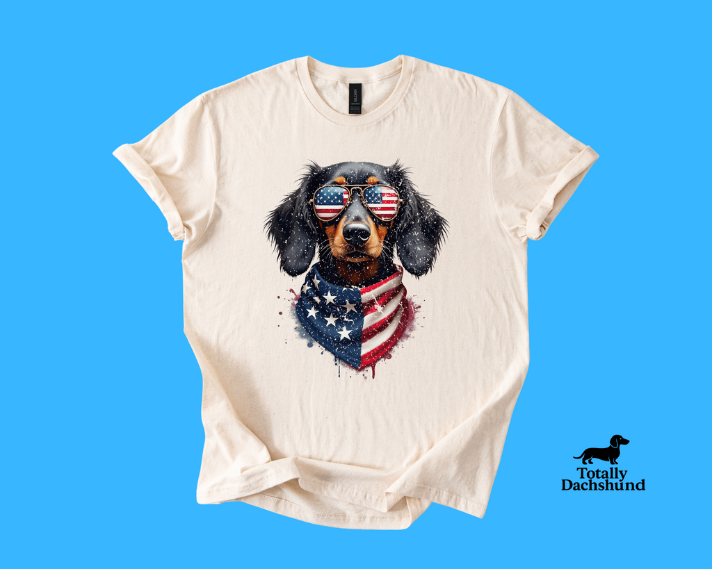 All-American Pup – Patriotic Dachshund Sunglasses & Bandana